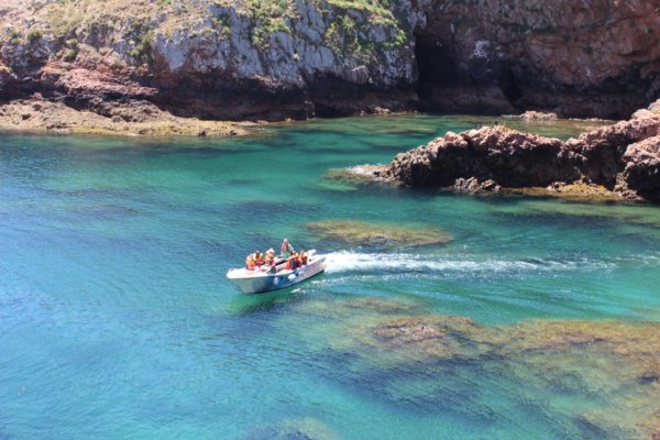 ^668D6FC119F73C069DFAF9707B2263DA7EB9360C06C8A91FF1^pimgpsh_fullsize_distr